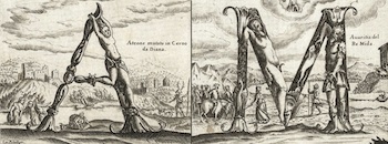 AM