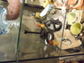 CIMG8109.JPG